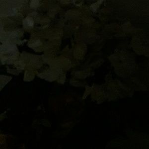 Meet your Posher, Joanne