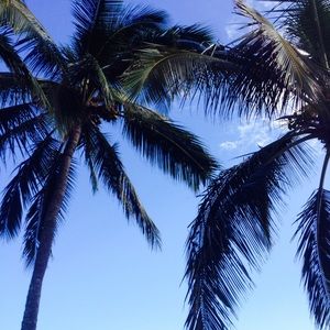 Meet your Posher, Kainani