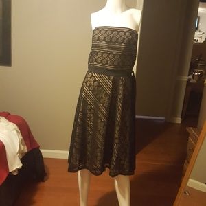 Anne Taylor Loft cocktail dress