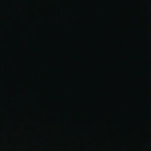 Meet your Posher, Will