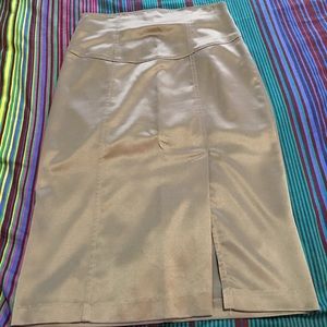 Silver pencil skirt