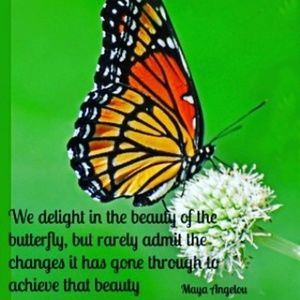 Meet your Posher, Shawanda