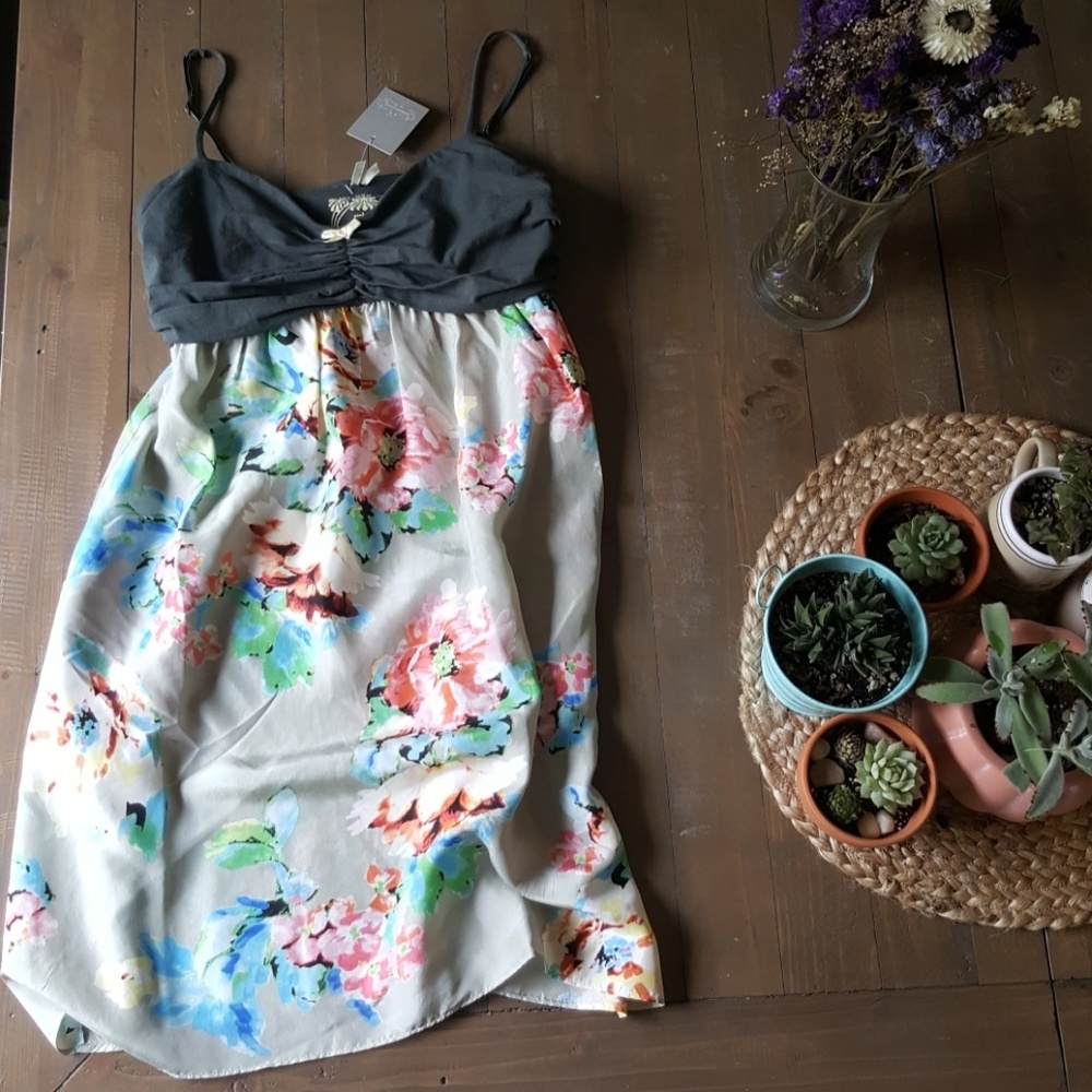 NWT Anthropologie Pinkerton Chemise- Pockets!
