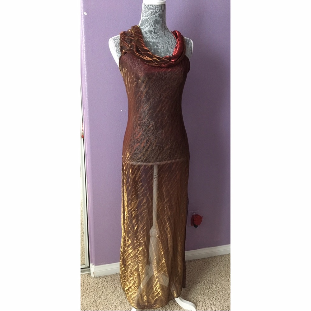 Shirley of Hollywood Transparent Sheer Chemise