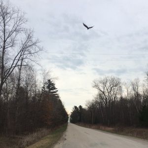 Meet your Posher, Trevor