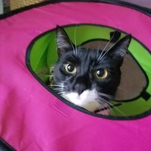 Meet your Posher, Charlotte