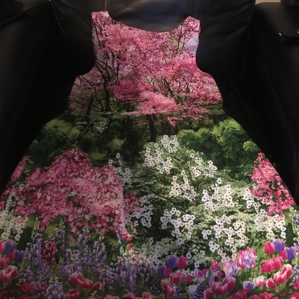 Pretty landscape dress