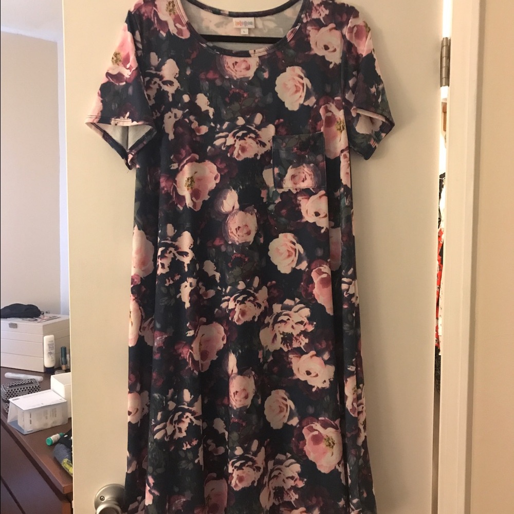 EUC Unicorn Lularoe Floral Carly