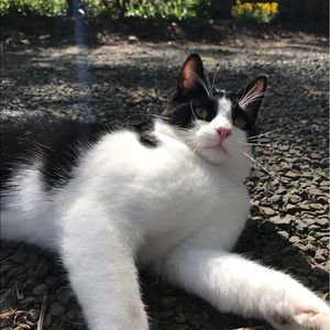 Meet your Posher, Lauren