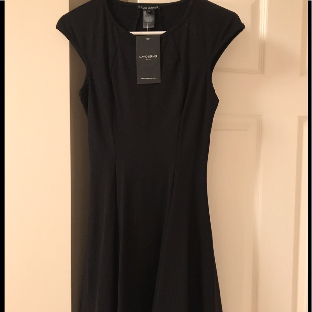 David Lerner fit and flare mini dress