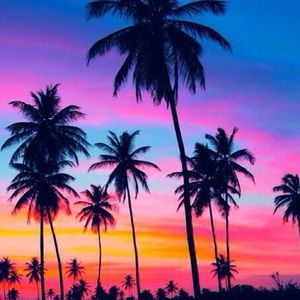 Meet your Posher, Mia