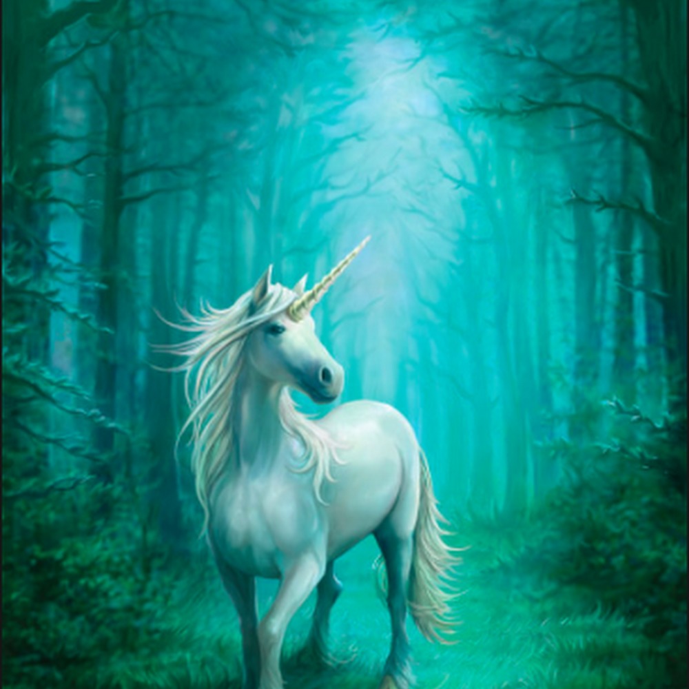 Meet your Posher, Tiana