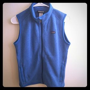 Better sweater Patagonia vest earlier color model