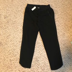 NWT Loft Jogger Pant