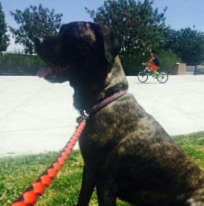 Meet your Posher, Treana