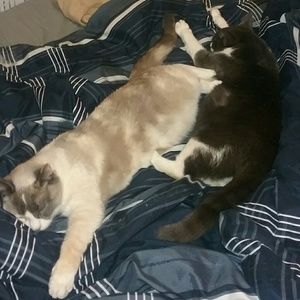 Meet your Posher, Tim