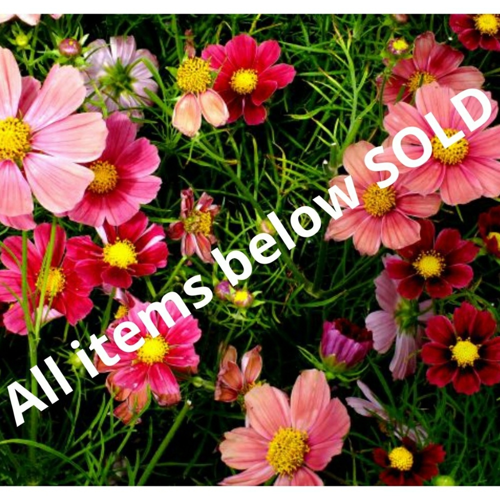 All items below SOLD