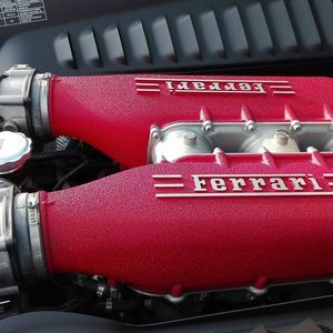 Meet your Posher, Nelson