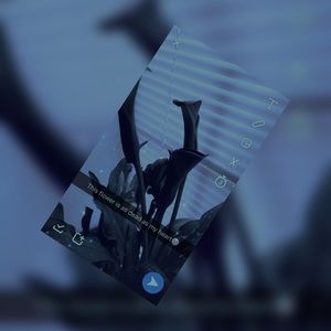 Meet your Posher, Derrenee