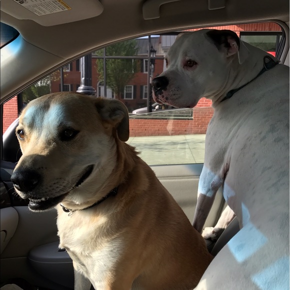 Meet your Posher, Natalie - Picture 1 of 1