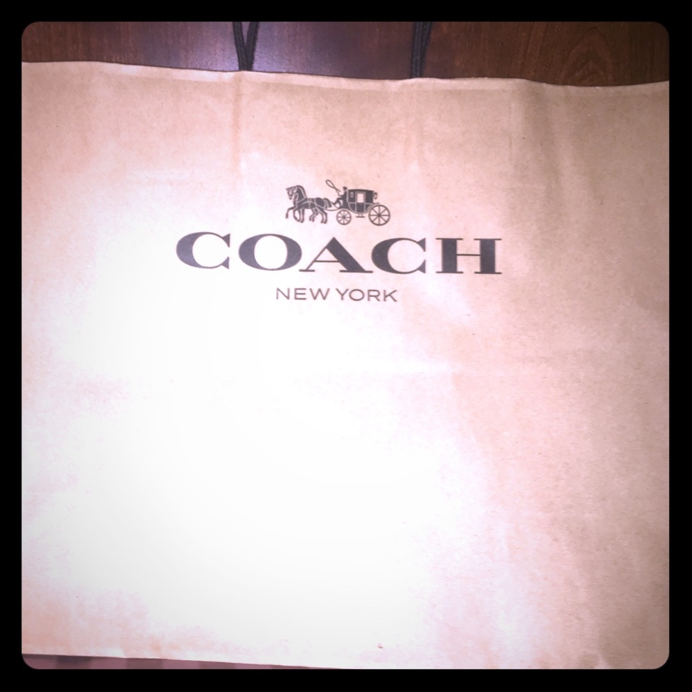 Brown Solid Coach Bag