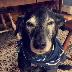 Meet your Posher, Adrienne