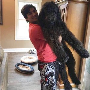 Meet your Posher, Spencer