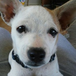 Meet your Posher, Janice