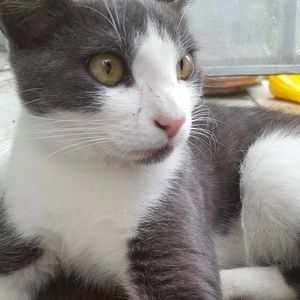 Meet your Posher, Yesenia