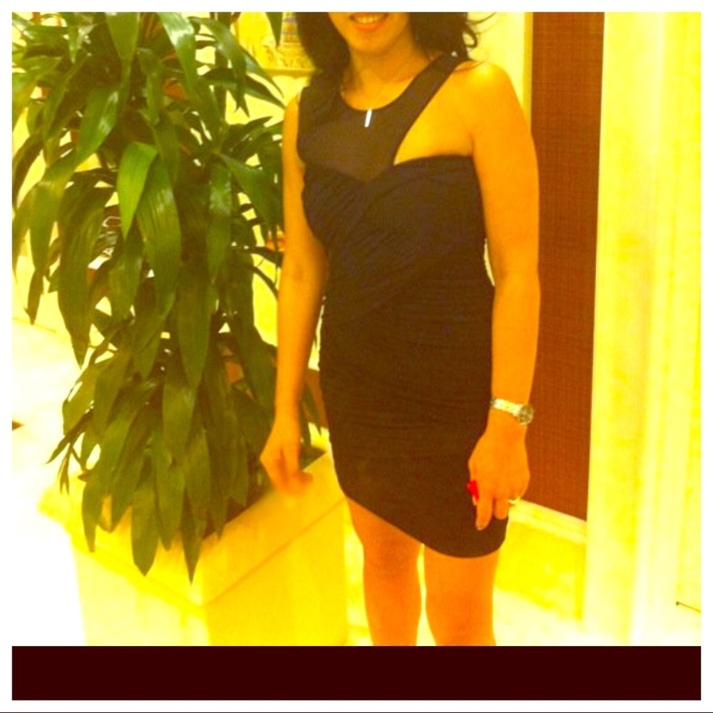 BCBG Maxazria Rosalyn Dress