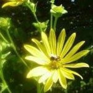 Meet your Posher, Mei