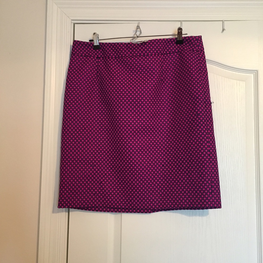 Banana Republic Skirt