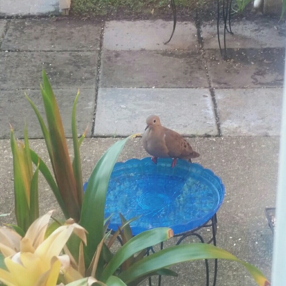 Hi, I'm Maria - Picture 5 of 7