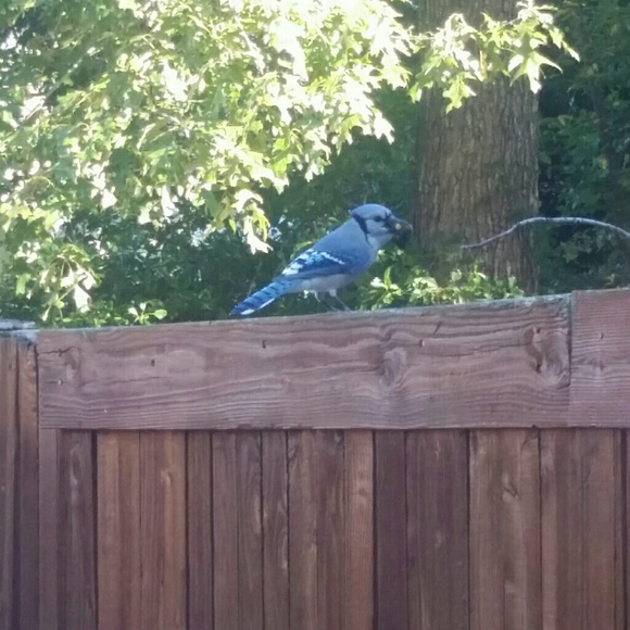 Hi, I'm Maria - Picture 2 of 7