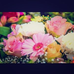 Meet your Posher, Ofelia