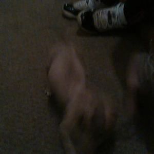 Meet your Posher, Quincy