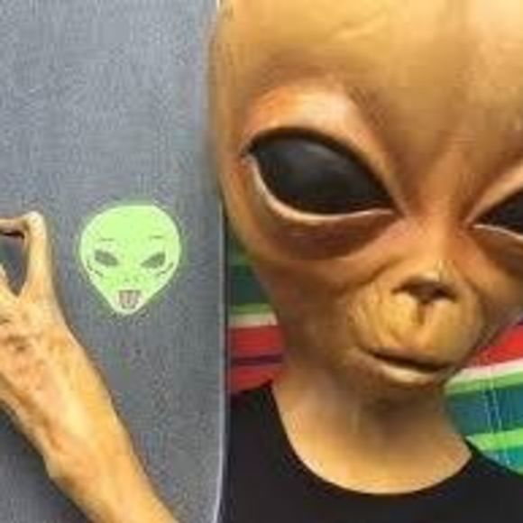 Meet your Posher, Michael - Picture 1 of 1