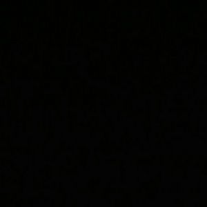 Meet your Posher, Peter