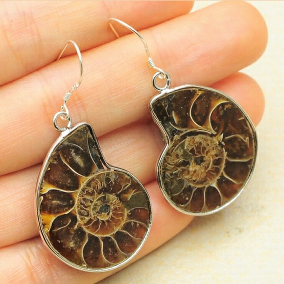 Jewelry - NWOT Genuine Sterling Ammonite Fossil Earrings