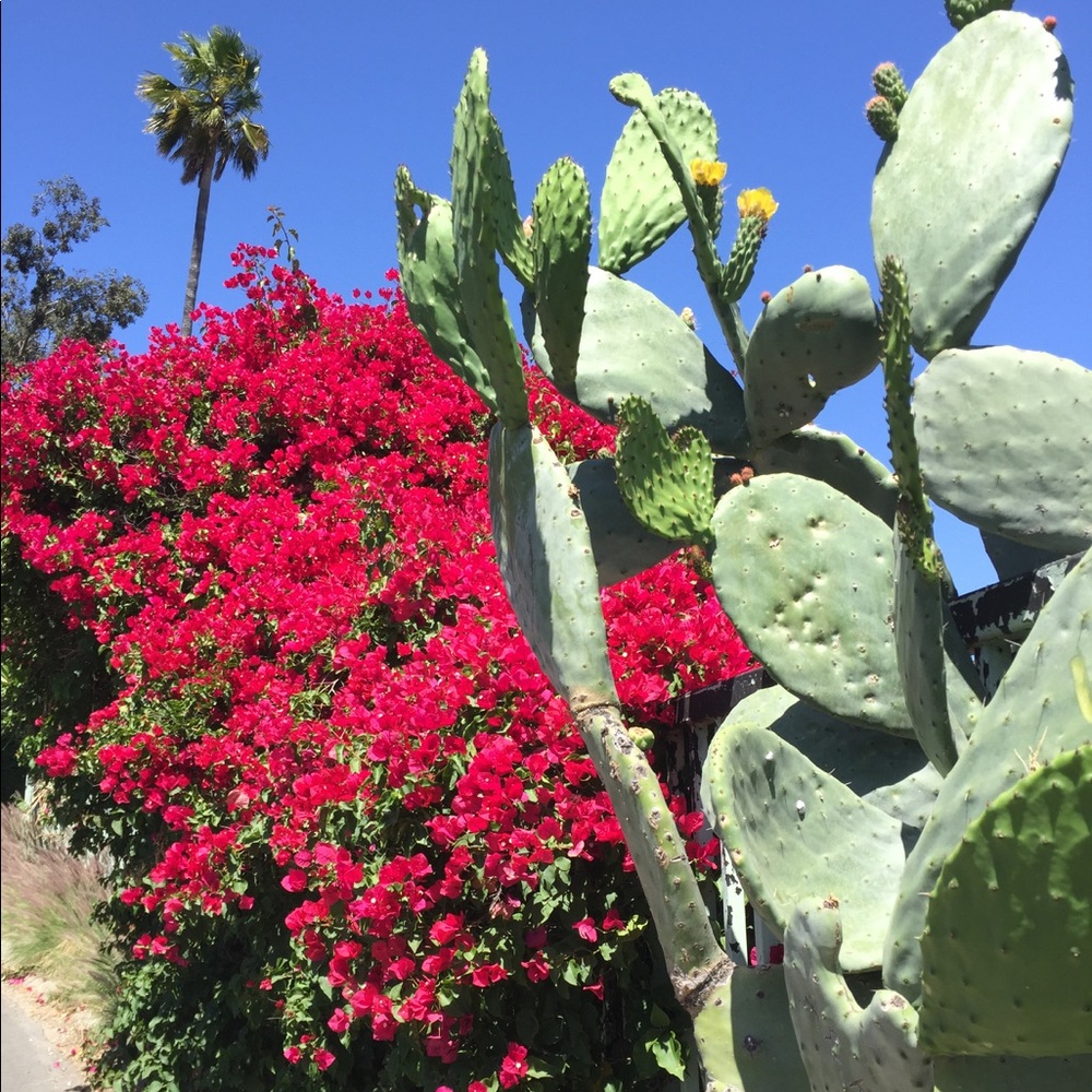 Meet your Posher, Janet