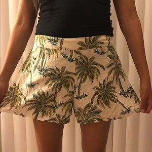 Palm Tree Shorts