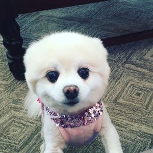 Meet your Posher, Christie