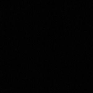 Meet your Posher, Ray