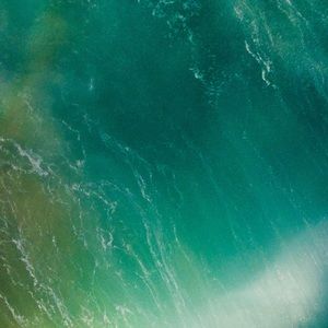 Meet your Posher, Serena