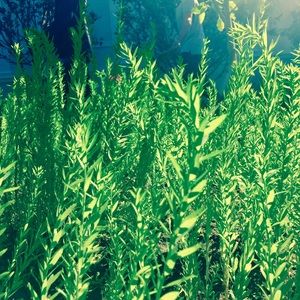 Meet your Posher, Zach