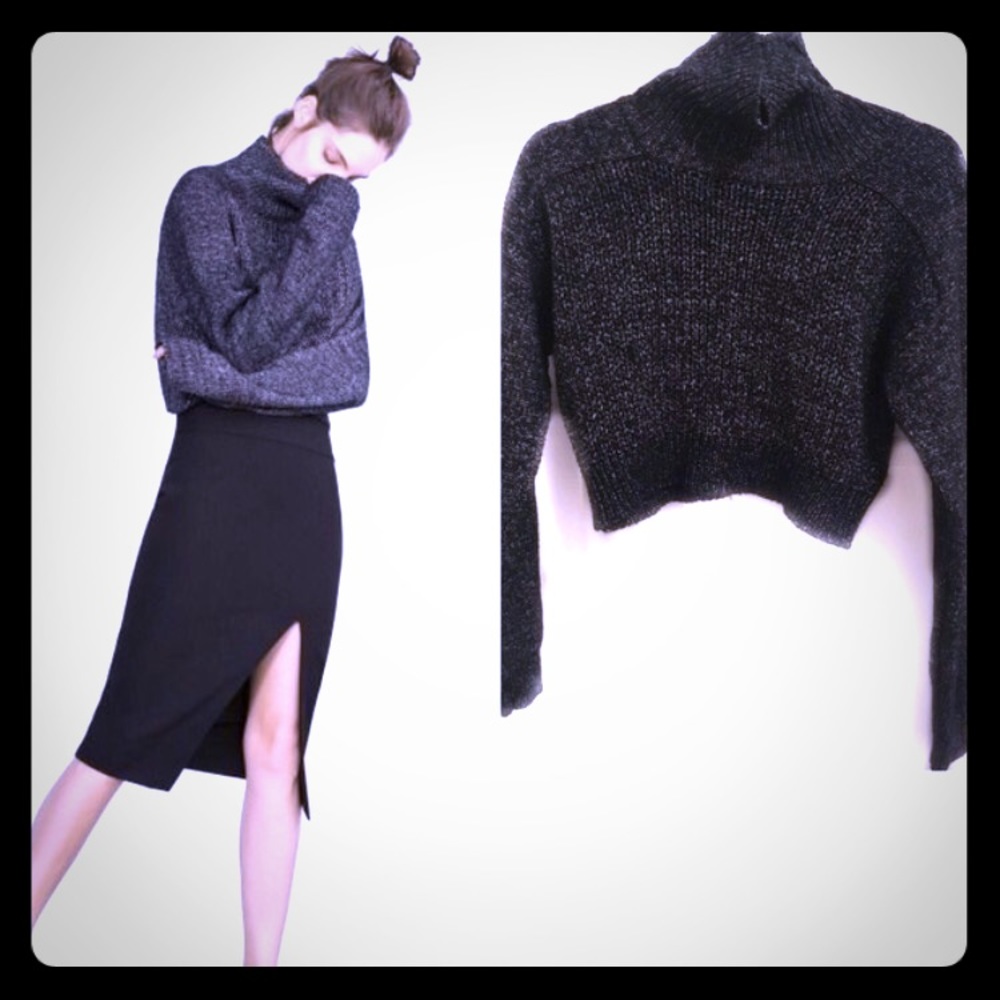 Zara Cropped black/white turtle neck