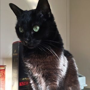 Meet your Posher, Es