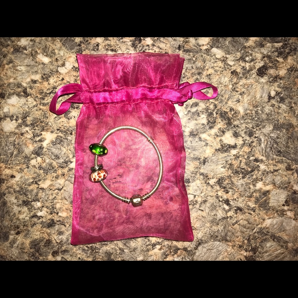 Pandora Bracelet