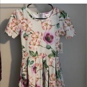 lularoe Amelia