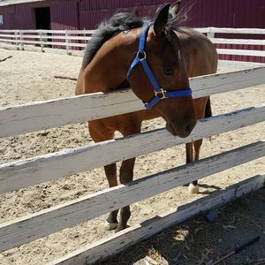 Meet your Posher, Sandra